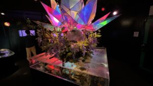 金魚ミュージアム