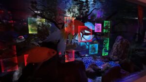 金魚ミュージアム