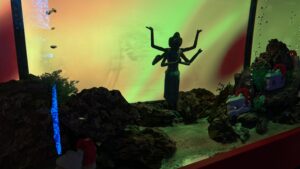 金魚ミュージアム