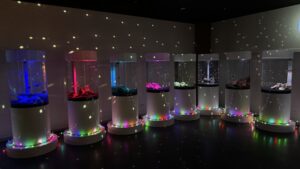 金魚ミュージアム