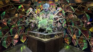 金魚ミュージアム