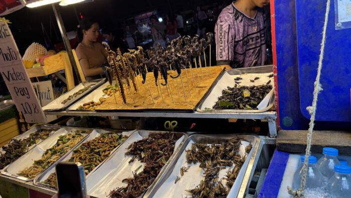タイのナイトマーケットに並ぶ昆虫食。食文化の違和感を通して視点の広がりを語る社長ブログの写真。